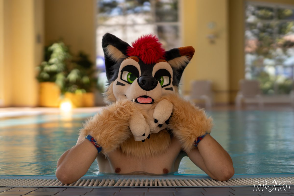 Reko_Raks's tweet photo. Having a nice swim in the pool, before the con starts.

not yet #East14

🪡@AlphaDogsStudio
📸@fuzzynoki https://t.co/EN1VPSWoGg
