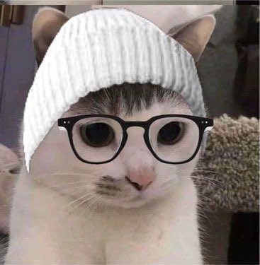 Nunu tweet media