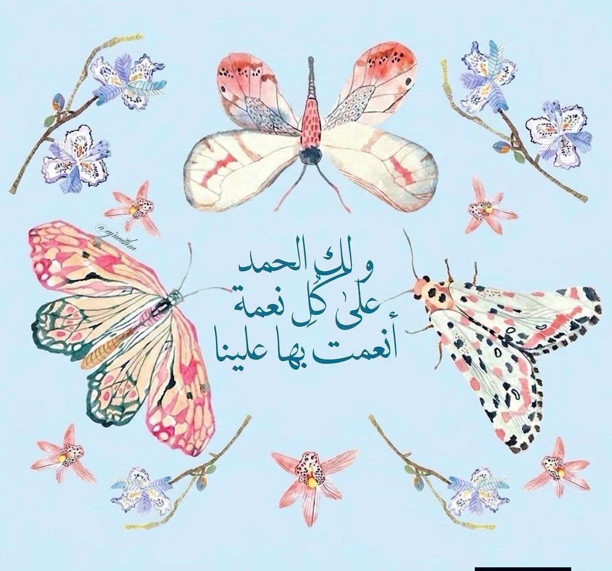 andrescanomuoz's tweet photo. بسم الله الرحمن الرحيم ♥️ 
#بدايـــــــــــــــہ 
@staytuned_35

@steetclick

@Heather06808355

@teresabarick

@BKishinyovsky

@carlos02831

@_lilhazel

@McardleCarolyn https://t.co/42UEAq3ESM