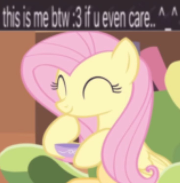 H4dleyy's tweet photo. Adoro demasiado a Fluttershy y me identifico tanto con ella, incluso si en realidad soy un asco de persona comparado a ella https://t.co/VgRlgt3o9Q