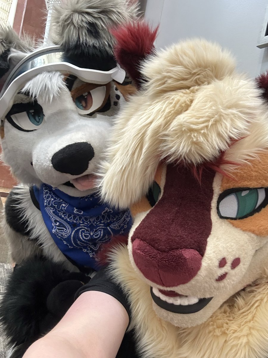 lyrapaws's tweet photo. #awu2026 @AnthroWeekendUT https://t.co/HScdMKSzJi