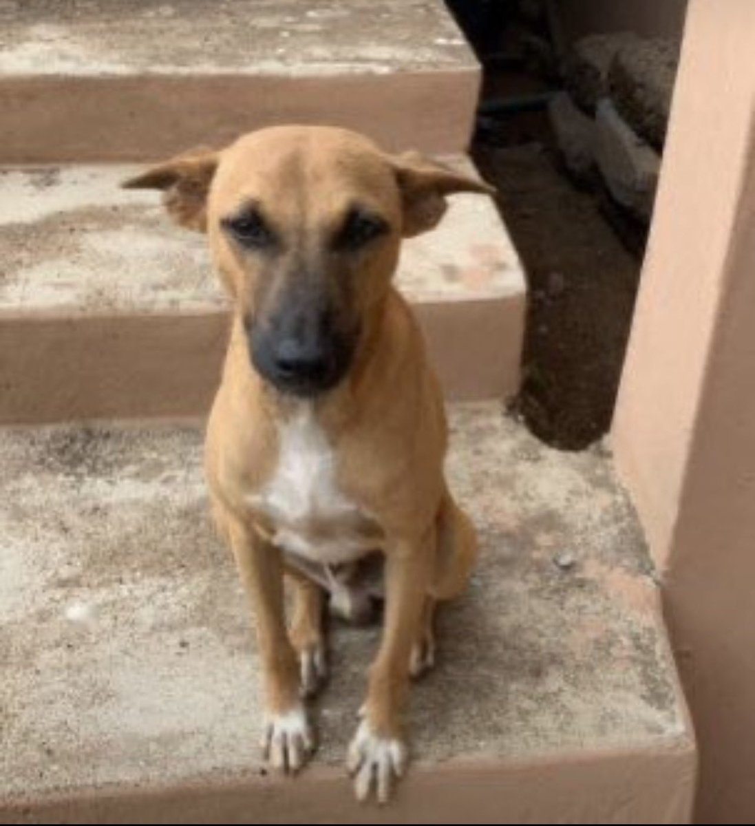 ChrisExcel102's tweet photo. The only breed that can disappear the whole week because of a vagina 🍑 and come back home as if he was on holiday… 

Legends of our community 😭🔥 https://t.co/dQV4En0buu