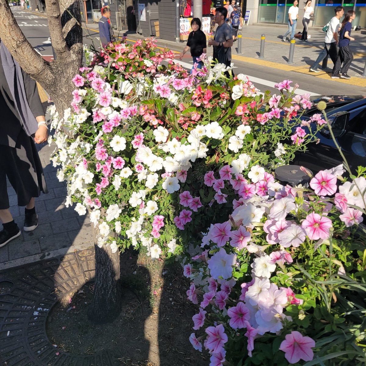 tem79636's tweet photo. 서울가야하는데 이제 퇴근은.. 
내일 서울에서 밥이나 커피 먹을분
#대전 #잠실 #맘눌뎀 https://t.co/FYWJ0YTL23