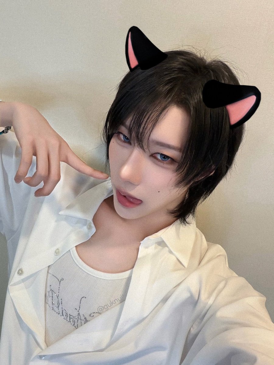 guknuit's tweet photo. i wanna kiss a kitty https://t.co/oC1EPMvfy0