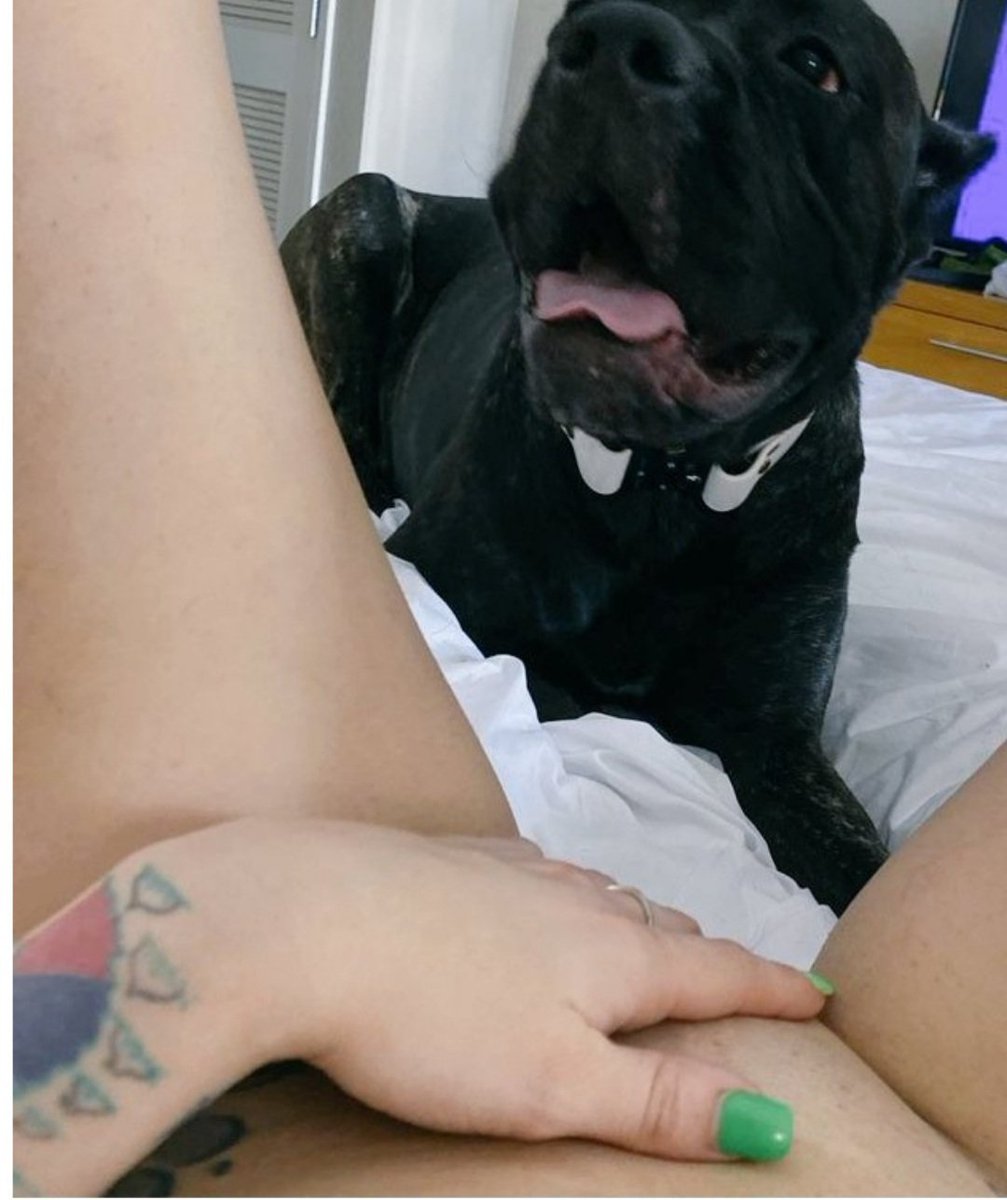 EzeuduDavid's tweet photo. Zoo model who gives pleasure to her dogs because she likes it so much dog!
念
TELEGRAM @knothylisax 
#zoophillia #zoosarevalid #beastiality #dogknot #zooprideisvalid #zoophile
#antizoo #antizoophileantizoo #k9girl
#zoopride
#zoophilepride #zoopositivity
#Bestiality #hypnotist https://t.co/rdiyjXV9D7