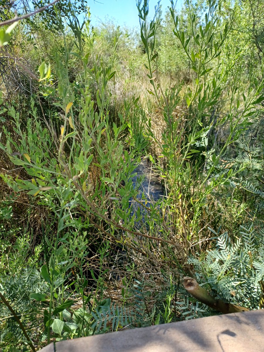o2bcd8ed's tweet photo. Death Valley. It was only 124 here today. You would be amazed how much water is actually here. Love coming every year during the extreme heat #heat #deathvalley #paradise #peaceful https://t.co/NDLEzZcRDk