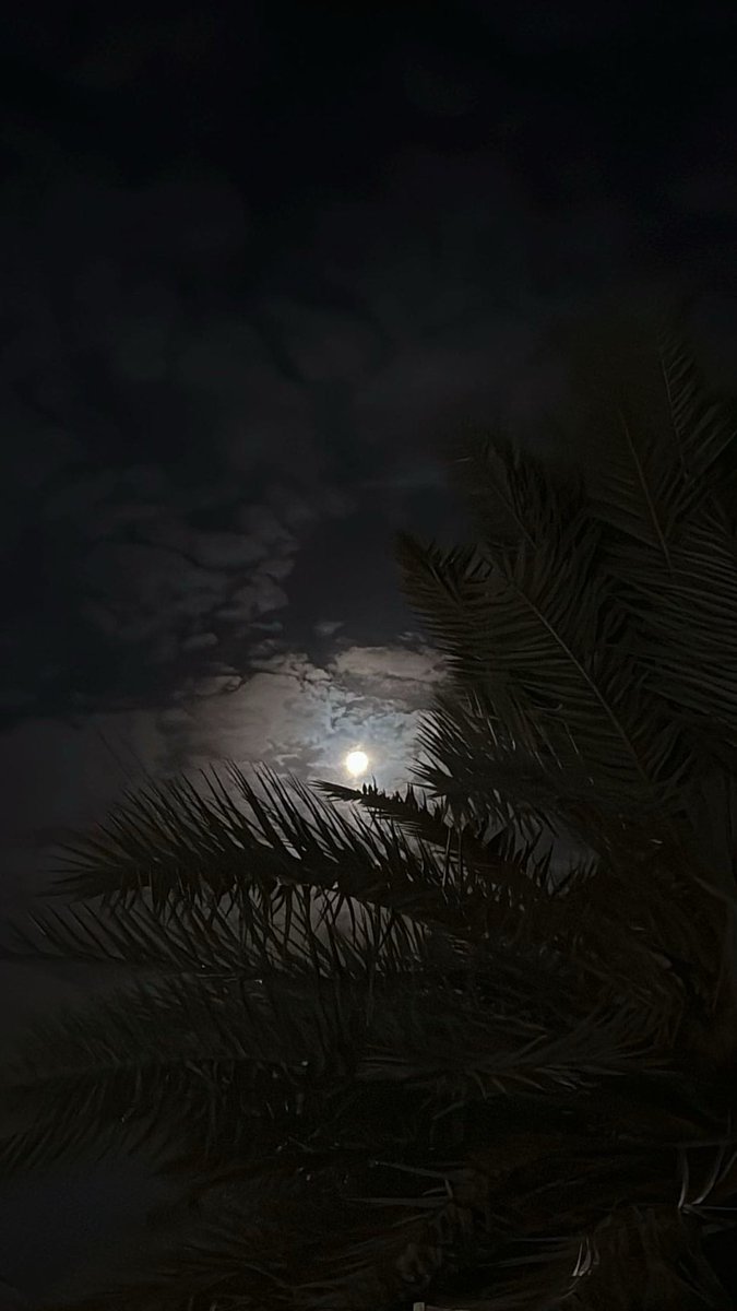 ib62n's tweet photo. اشوف الكواكب وانظرك ثامن السبّع
واشوف الثلاث البيض واشوفك الرابع

مامثلك بعيني في بهاء الحسن متربّع
ماترفع الأرض السابعه للسماء السابع

- سعد بن جدلان https://t.co/LkruFtiCtH