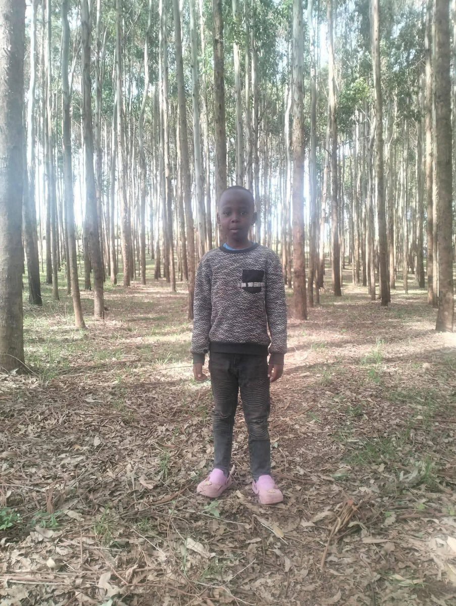 ClintonObonyo's tweet photo. 🚨 MISSING: 7-year-old boy kidnapped yesterday in Kikopey Police Line.
Two armed men on a numberless motorbike attacked his mother at an M-Pesa shop, took the money &amp; bag, then grabbed the boy and fled.
He was wearing: black trousers with white stripes, grey t-shirt with black https://t.co/aN8sZjgLT9