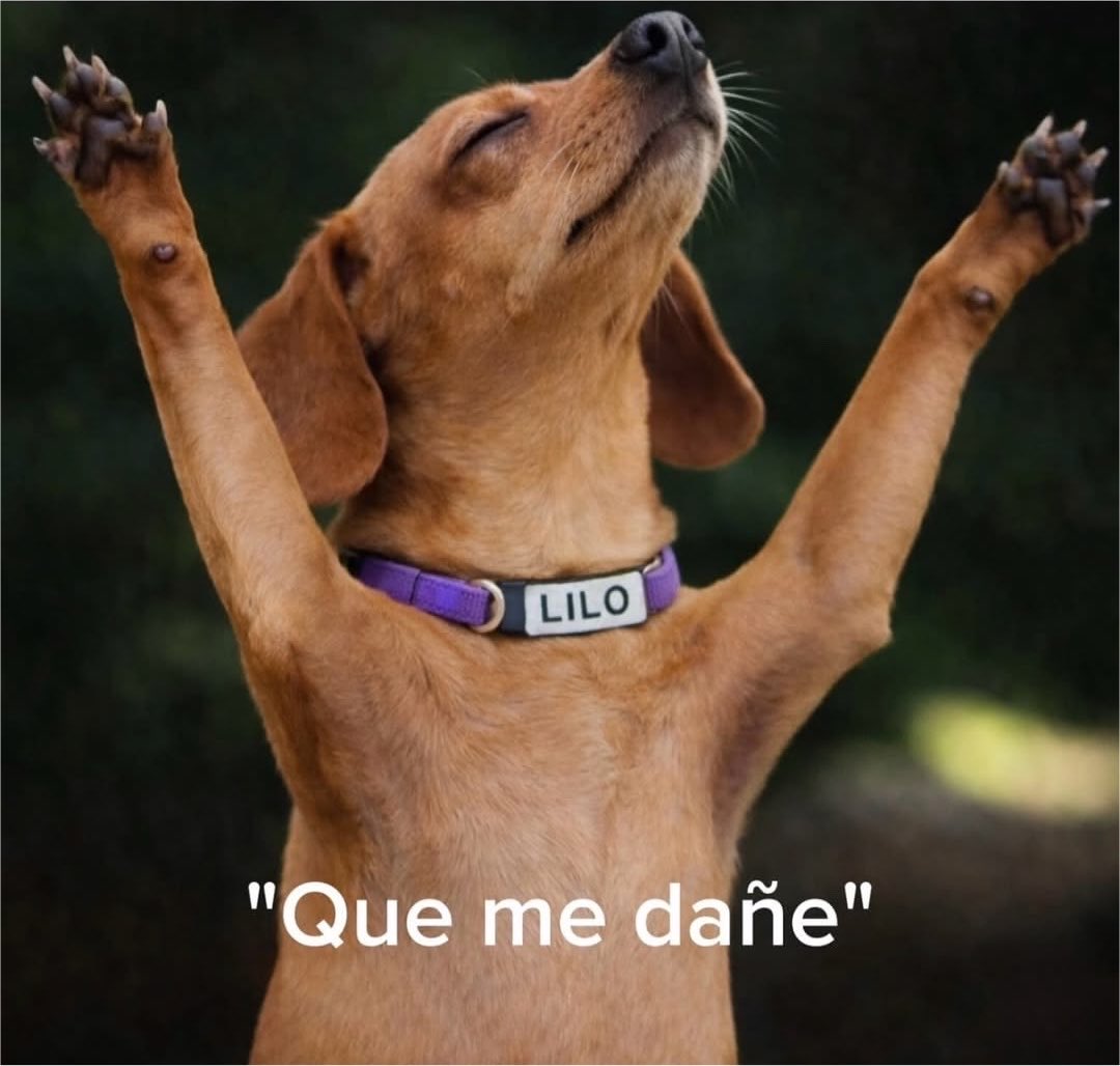 dilocondibujos_'s tweet photo. -El dinero daña a la gente
-Yo: https://t.co/OufWs2874e