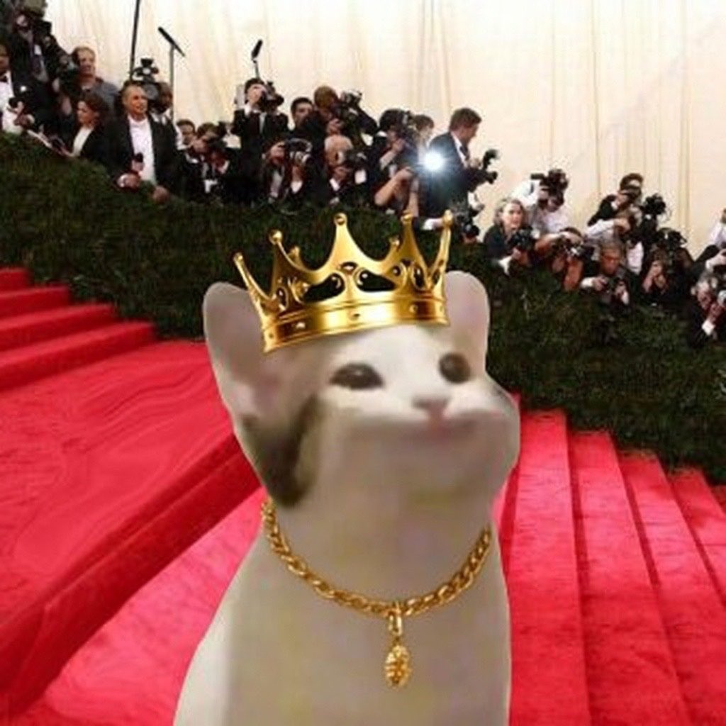 popcat_rh's tweet photo. Pop star on #Robinhood https://t.co/SJ8xlZKepj