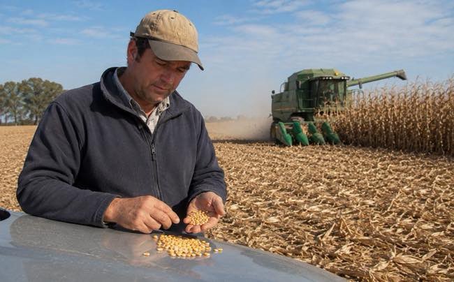 Agroverdad's tweet photo. Monitor de @CONINAGRO📊🌽💰

Relación insumo-producto. Con números ajustados, cuánto maíz se necesita hoy para comprar insumos clave

➡️ https://t.co/KamAYcaB2N

 #AgroTitular #AgroCordoba #agro #campo #maiz #cosechademaiz https://t.co/faz1MWdecl