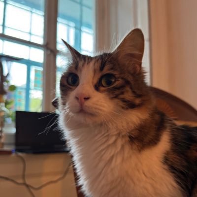 Snugtoes tweet media