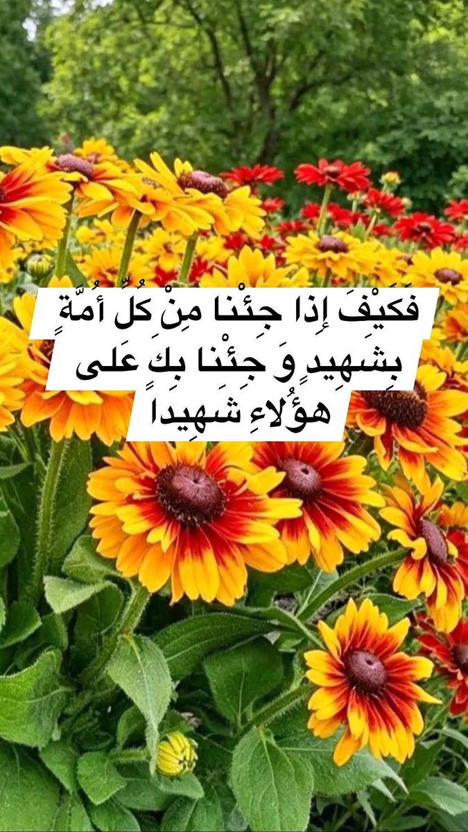 h92f56's tweet photo. بسم الله الرحمن الرحيم
(وَ يَوْمَ نَبْعَثُ فِي كُلِّ أُمَّةٍ شَهِيداً عَلَيْهِمْ مِنْ أَنْفُسِهِمْ وَ جِئْنا بِكَ شَهِيداً عَلى هؤُلاءِ وَ نَزَّلْنا عَلَيْكَ الْكِتابَ تِبْياناً لِكُلِّ شَيْءٍ وَ هُدىً وَ رَحْمَةً وَ بُشْرى لِلْمُسْلِمِينَ)
صدق الله العلي العظيم https://t.co/gsOItgnLHj