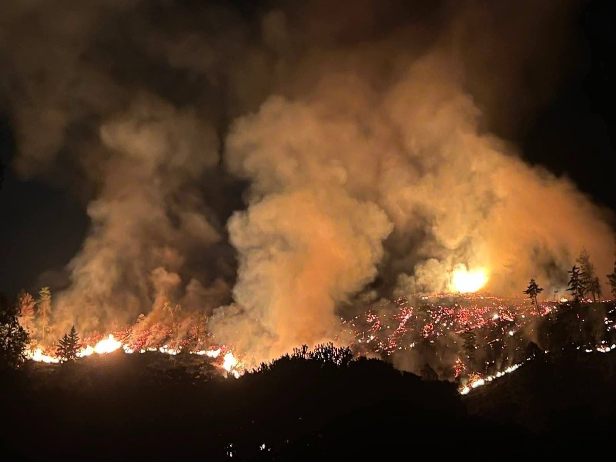 ThomasitaD's tweet photo. Esto es muy sospechoso, tan parecido a lo que pasó en Argentina, con los incendios en la Patagonia.

La extrema derecha no ha empezado a gobernar y ya está acabando con el Páramo de Santurban.

 "Ya son más de 12 horas de incendio en Charta, en la vereda Pantanos, zona de influencia de Santurbán. Hacemos un llamado urgente a Unidad Nacional para la Gestión del Riesgo de Desastres , Gobernación de Santander  y demas autoridades para ayudar a controlar esta emergencia. La comunidad de la zona está pidiendo apoyo! 🔥💧"