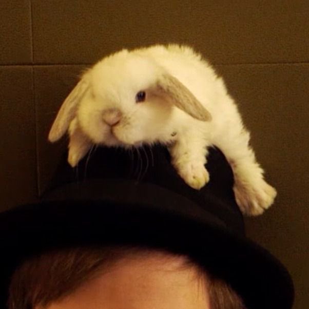 trohmaniaa tweet picture
