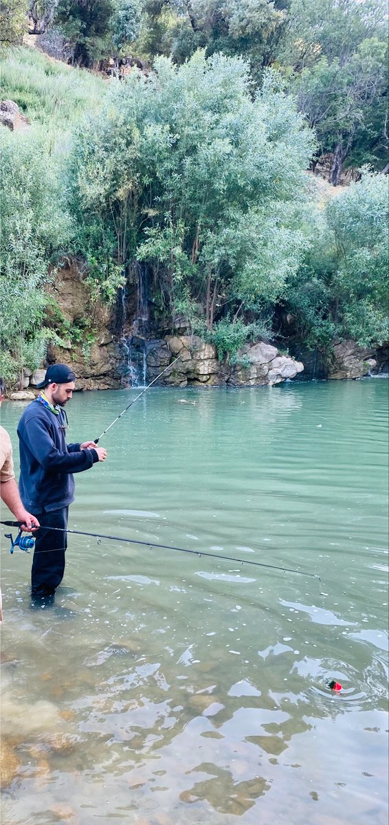 Kave__1's tweet photo. بیا ببرمت جنگل واست ماهی کباب کنم جیگر https://t.co/seNMQdKROQ