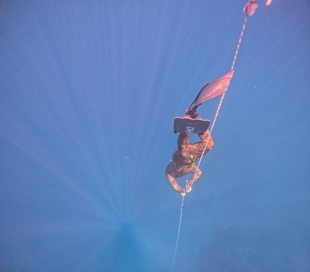 Freedive_Lamia's tweet photo. https://t.co/PsuQslZVYp https://t.co/TFys6TdxR0