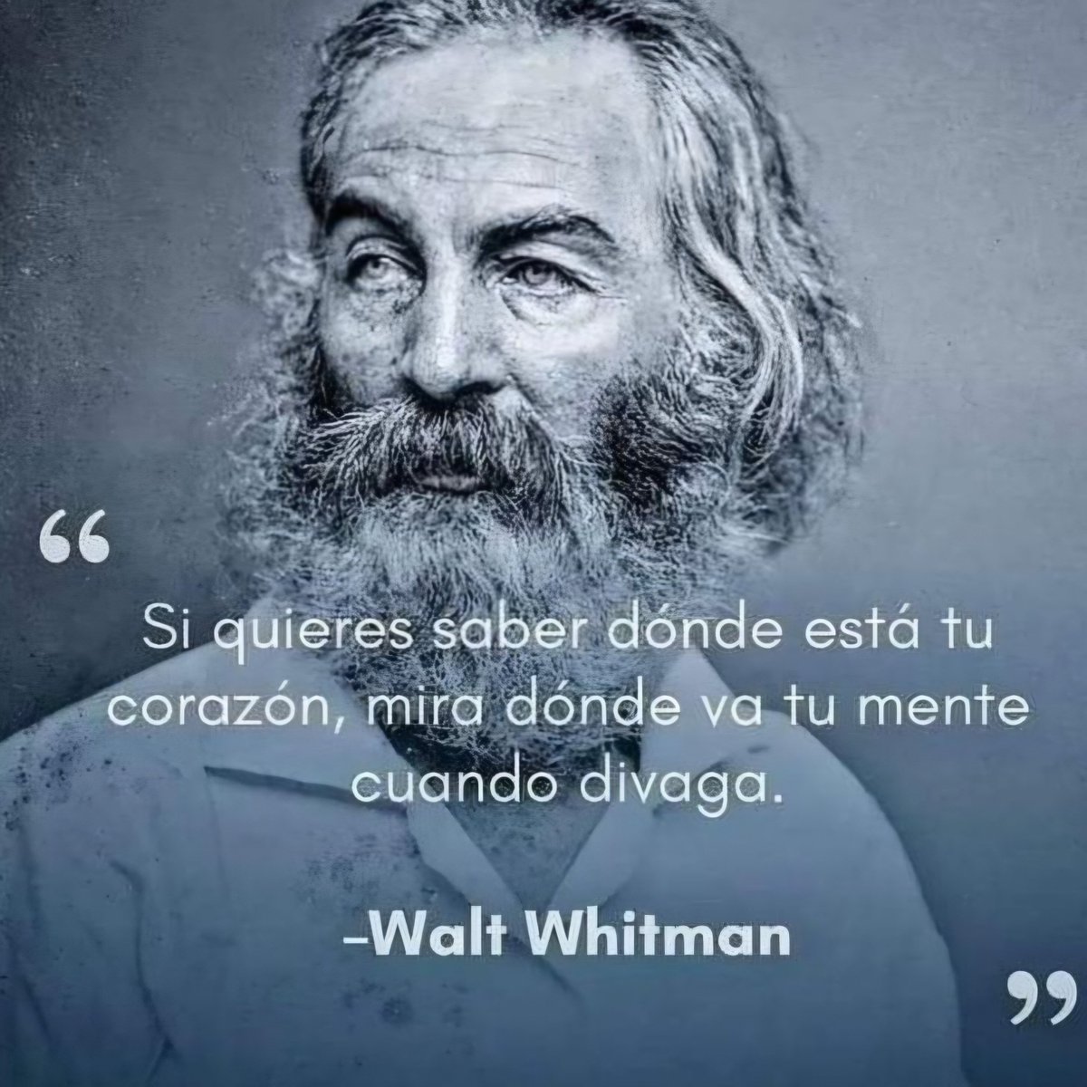 Espacio_Frases's tweet photo. https://t.co/T5cWSxhrlN