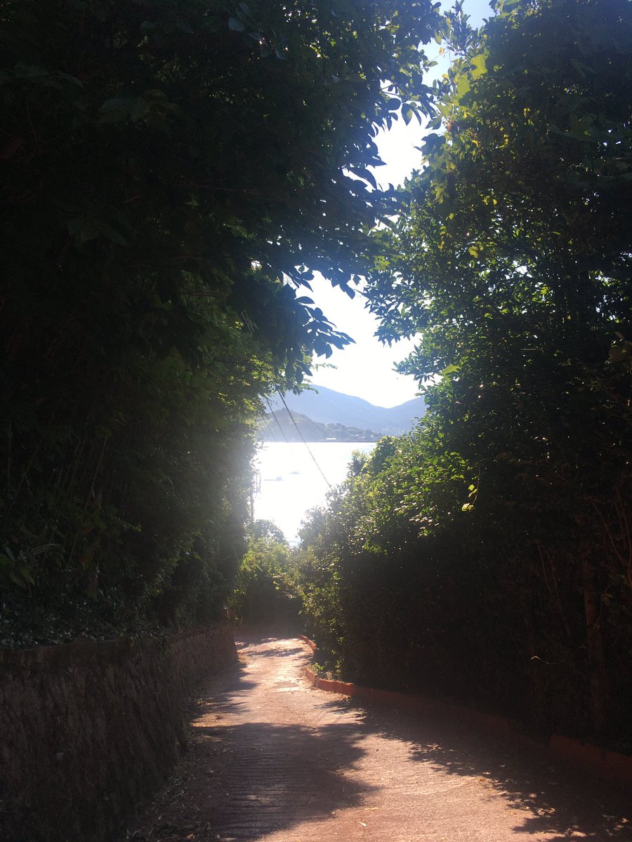 wakarorn's tweet photo. 인스타에서 숨겨진 장소라고 해서 찾아가다가 죽을뻔했음 https://t.co/YNqFdInw9s