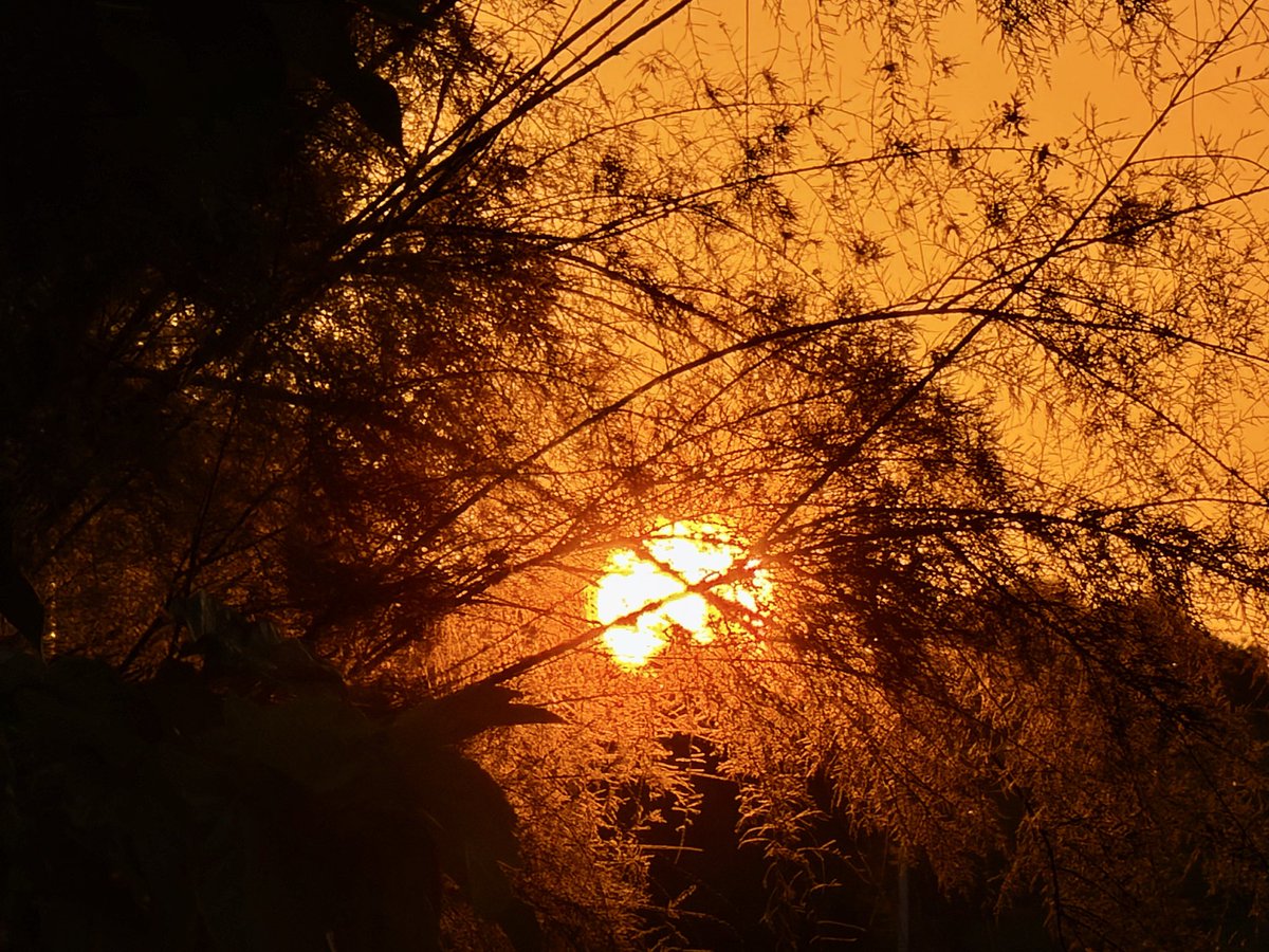BrigitteB55's tweet photo. Bonne soirée à toutes et à tous 🫶🏻💫 🌅 #Antibes 🧡 https://t.co/oXHTrcBJ1U