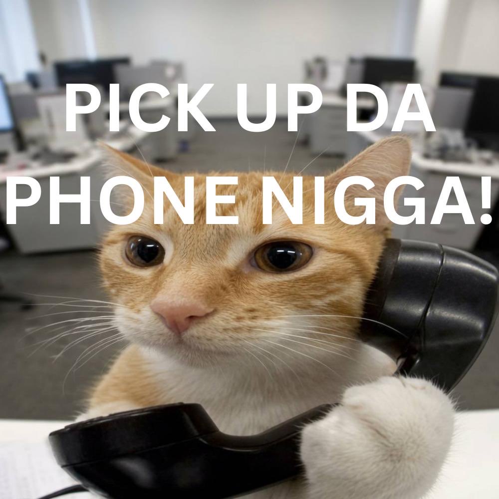 CatCallSol's tweet photo. $catcall Telegram Channels are ready!

Join here: https://t.co/AdTpeimPpi

Memes Channel: https://t.co/7dfwuyS4Oy

You can share your own memes and get all other memes to BAGWORK on the timeline! https://t.co/FvrUvaWWT5