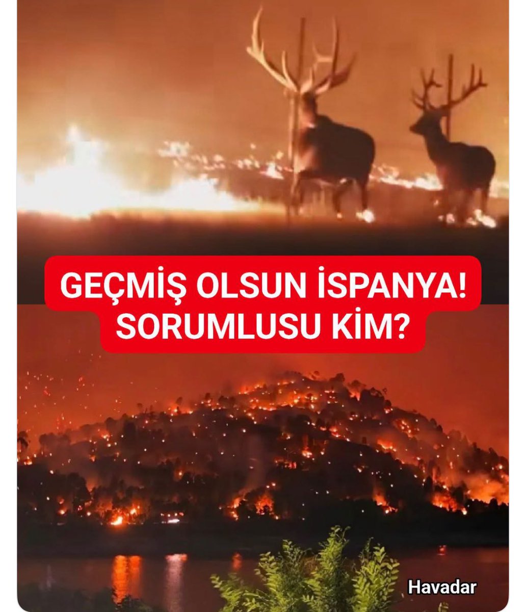 Recepsamuncu1's tweet photo. KÜRESELCİLERİN KARA LİSTESİNDEKİ İSPANYANIN HALİ,

🥹 Dünyanın mert ülkesi İspanya, tam 1 haftadır yanıyor! Maalesef durum ciddiye bindi.
❓ Bu kadar uzun süren yangının sorumlusu kim?
⚠️ Yangın halen kontrol altına alınamadı https://t.co/8X5P5Qwszo