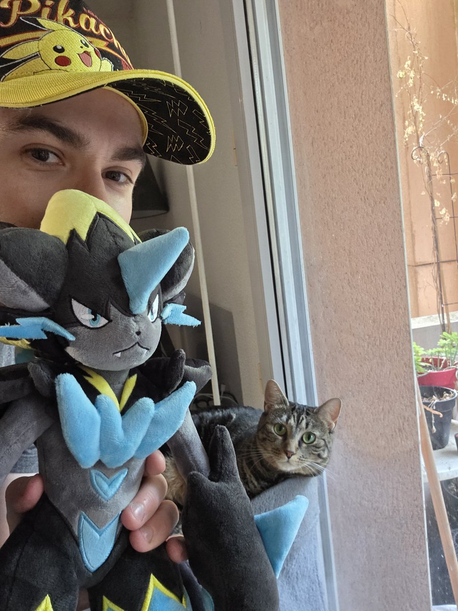 ZeraoraDeTwitch's tweet photo. Got mine 💙🖤💛 https://t.co/ZyI5DmWits