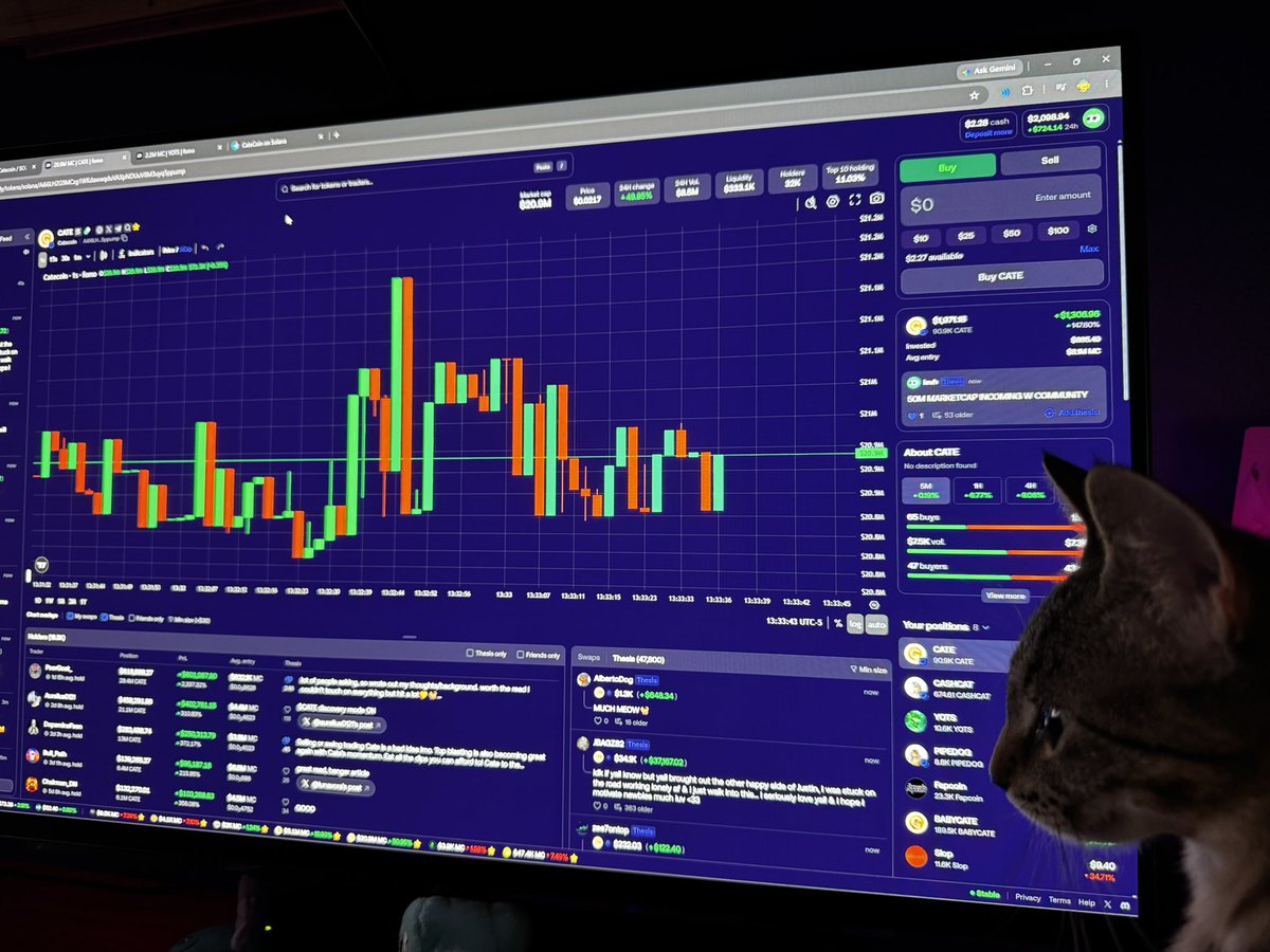 Levh33's tweet photo. $CATECOIN https://t.co/Cd620Fgsbw