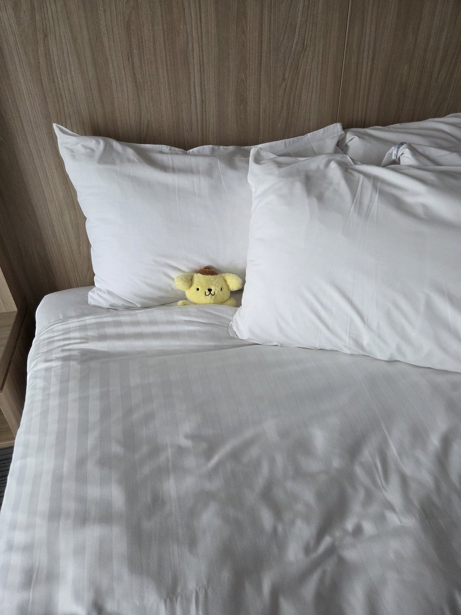 moonethewolf's tweet photo. Tucked in purin 💤 https://t.co/YxjzEeyJ3h