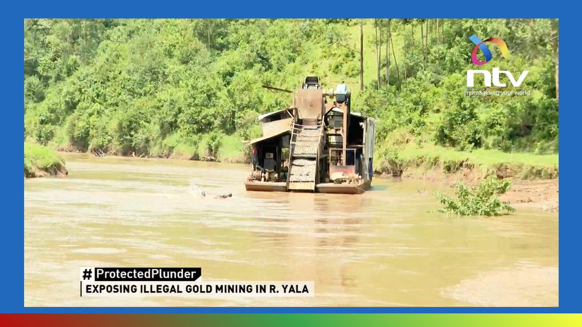 ntvkenya's tweet photo. Chinese nationals are operating a dredger boat, extracting gold in River Yala with no licence, no environmental approval and no legal right to be in that water at all.

Who let them in? Who keeps letting them back?

#ProtectedPlunder: https://t.co/dwWz3rS2cK https://t.co/XQs8DdOGcv