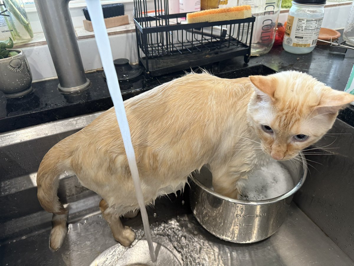 ER vet tech tweet media