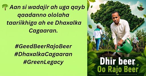 Muktar216's tweet photo. 🌴 Aan si wadajir ah uga qayb qaadanno ololaha taariikhiga ah ee Dhaxalka Cagaaran.

#GeedBeerRajoBeer
#DhaxalkaCagaaran
#GreenLegacy https://t.co/JSgNYBwgju