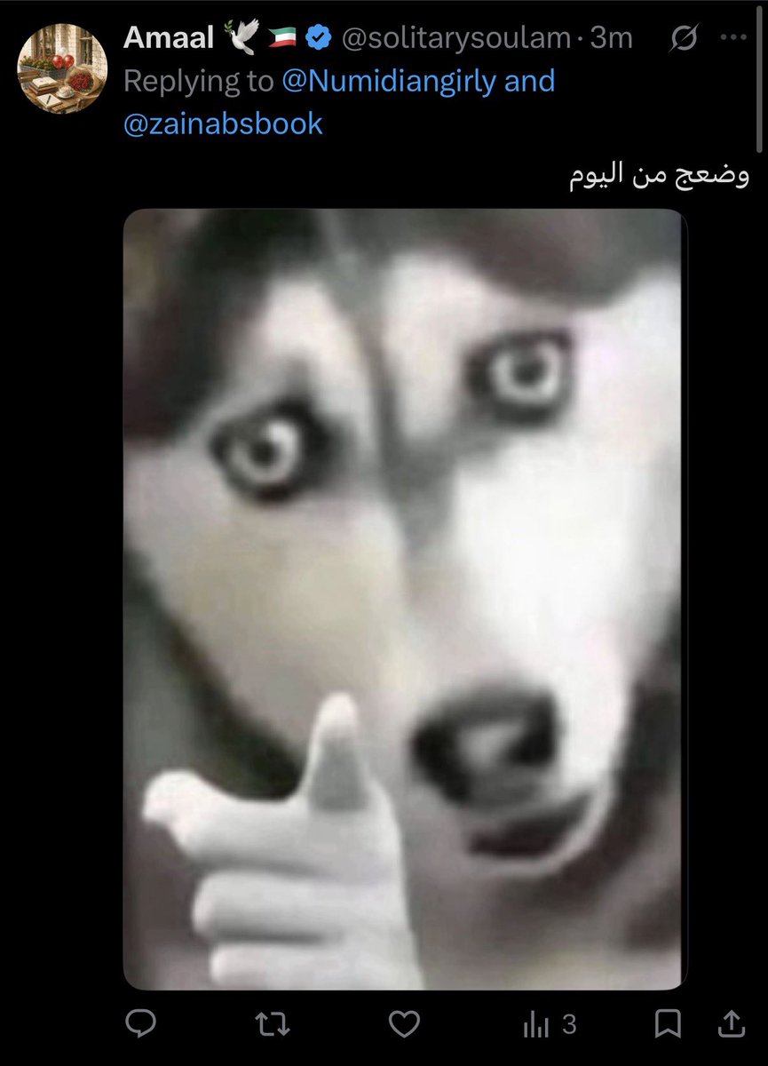 Numidiangirly's tweet photo. @solitarysoulam @zainabsbook عجبتيني يوم رجعتي عن كلامك لاني بصراحة ما فهمتش قصدك قلت يمكن تفهميني مدامك تفهمي لغة الكلاب https://t.co/5uhH311HRS