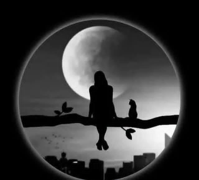 Hanan89603872's tweet photo. وما عجبي من الغرباء لكن 
     جفاءُ الأقربين هو العجيبُ. https://t.co/Tv7TA0u27u