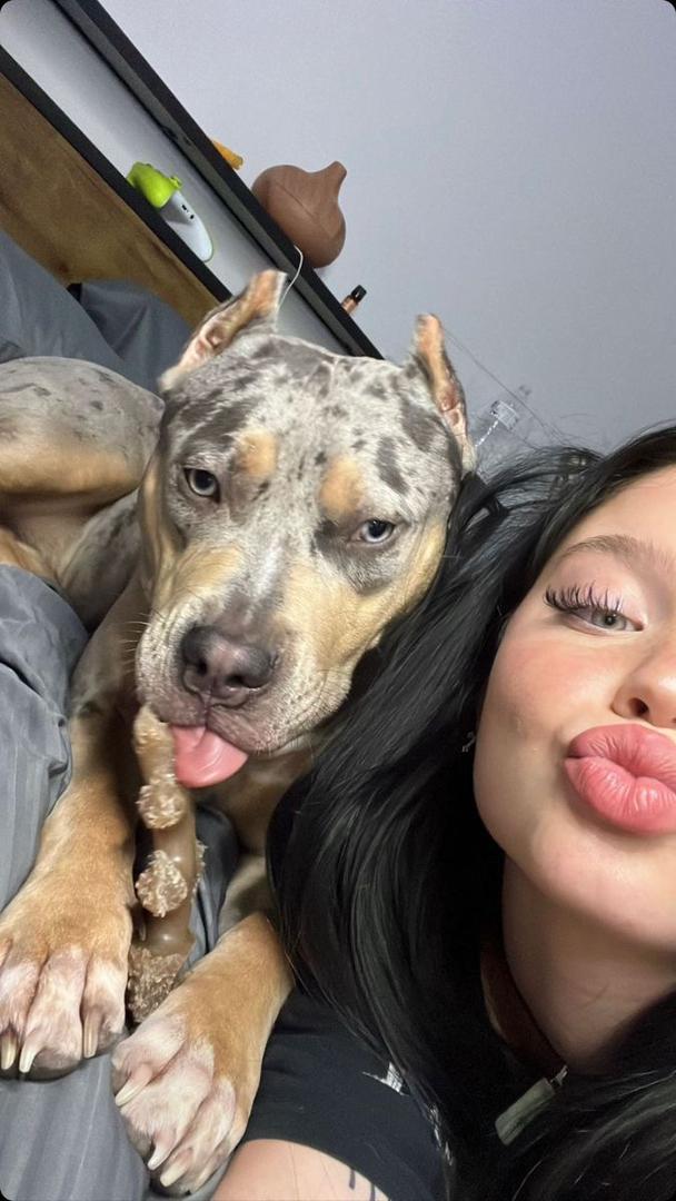 aniyyaknotts2's tweet photo. My baby exactly how to knot me right—deep thrusts, then that perfect lock 💦

Tap my link tree to see more
⬇️⬇️
https://t.co/4TcKZjLeW8

#dogknotting #zoobitch #furlove #knottyaniyya https://t.co/KNPWLLbjfb