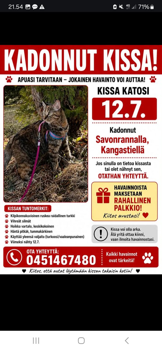 JP_Latti's tweet photo. #Savonlinna #Savonranta : Kadonnut / karannut kissa https://t.co/qnqQE9ZfxP