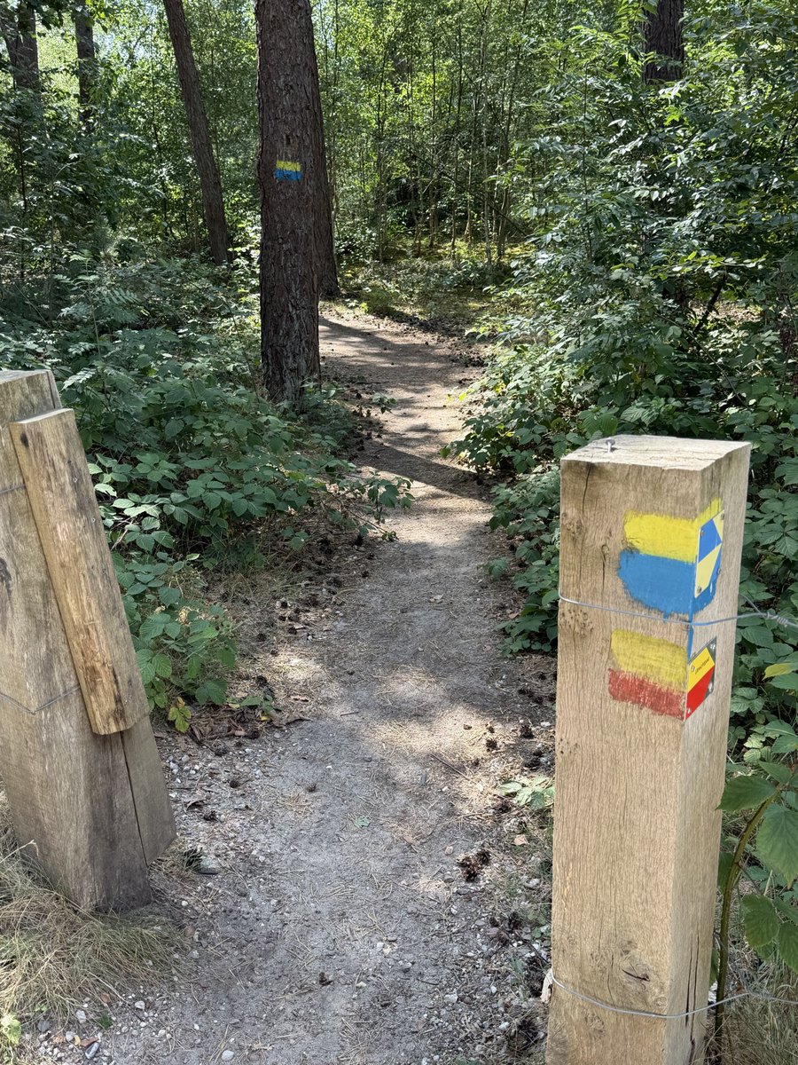 WolveninUtrecht's tweet photo. Landgoed Den Treek-Henschoten.

Zijn hier geen wolven meer? Hek en enige waarschuwingsbord ooit op 2000 hectare zijn weggehaald… https://t.co/zUsxeXyPQD