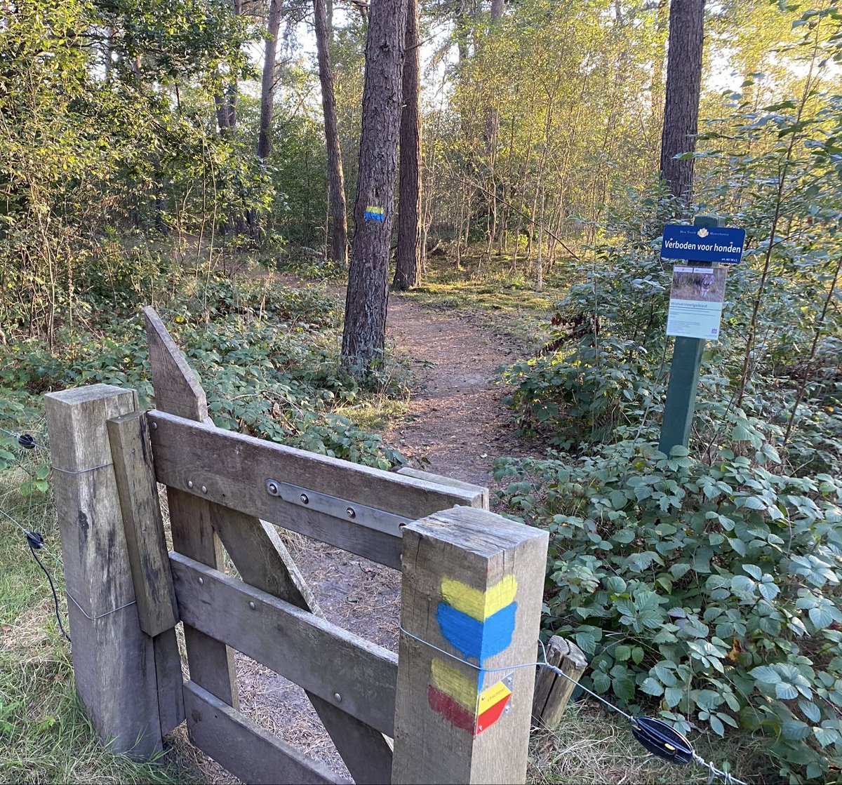 WolveninUtrecht's tweet photo. Landgoed Den Treek-Henschoten.

Zijn hier geen wolven meer? Hek en enige waarschuwingsbord ooit op 2000 hectare zijn weggehaald… https://t.co/zUsxeXyPQD