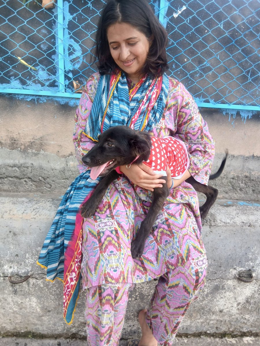 Ammu28707972's tweet photo. 1/5 🧵

🚨 Just a reminder not to forget us.

Right now I'm responsible for 🐶 68 rescue dogs, 🫏 1 rescued donkey, 🐱 1 rescued cat, and 👶 human 7 month.

I lost my job in May, and the salary that kept this rescue running disappeared overnight. Everything now feels uncertain. https://t.co/RBjVTkhlnw