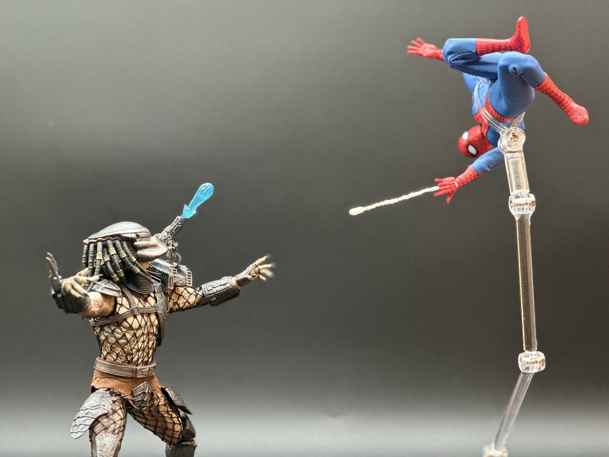 airborne8890's tweet photo. Spider-Man vs The Predator… 

#spidermanday #spiderman #mezco #marvel #predator @predator @spiderman @NECA_TOYS @spidermanmovie @marvel @marvelstudios @mezcotoyz https://t.co/YeaSUAsad5
