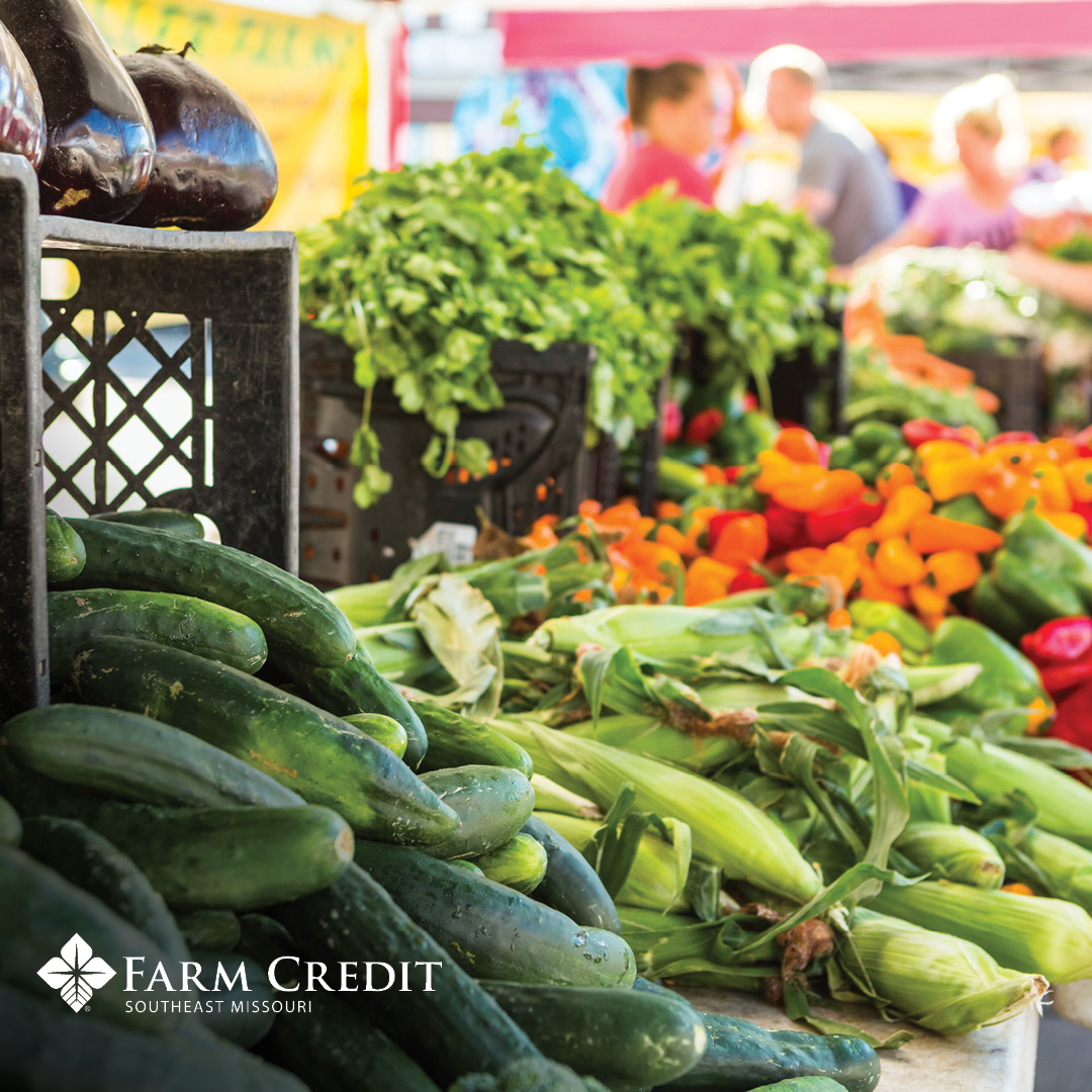 farmcreditsemo's tweet photo. It’s National Farmers Market Week! The first full week of August is the perfect time to visit your local farmers market and enjoy the freshest produce Southeast Missouri has to offer! #FarmersMarketWeek #SupportFarmers #EatLocal #FarmCredit #Ag https://t.co/js2Msm29KJ