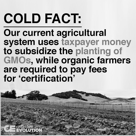 Caroline_Yunker's tweet photo. @SecKennedy This is why processed food is cheap. https://t.co/hIpoLNzW0C