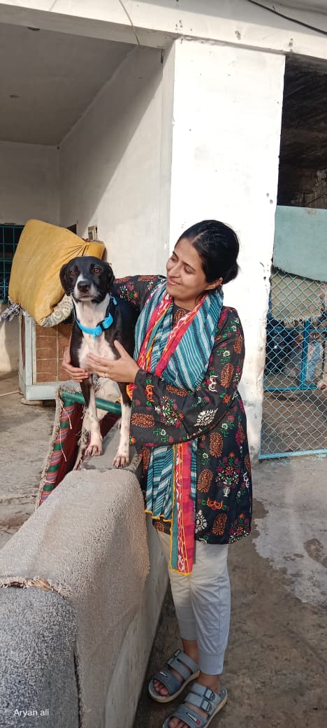 Ammu28707972's tweet photo. 4/5 🧵

🙏 I don't need help forever.

I only need support for the next few months until I can get back to work.

I'm looking for 16 kind people to sponsor 16 dogs for October and November at $22 per dog, per month. Even sponsoring one dog makes a real difference. https://t.co/SU92rS8IAs