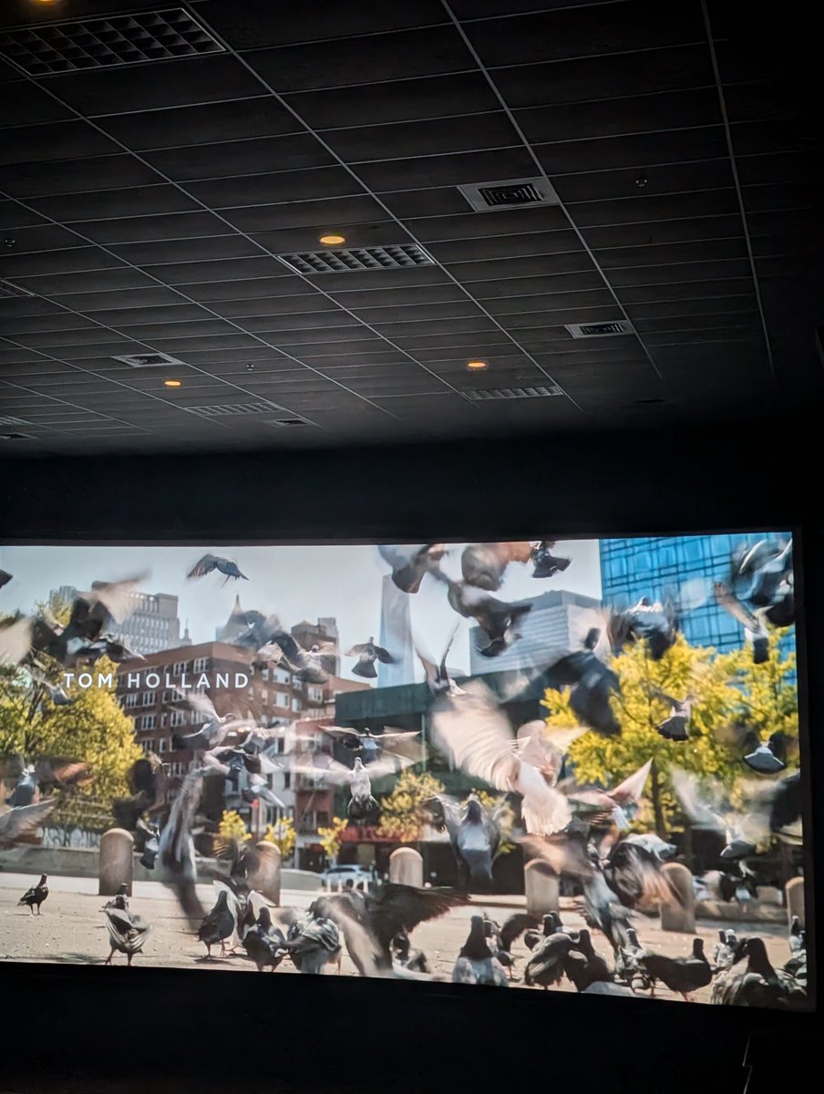 jackvarnadoiam's tweet photo. ABSOLUTELY LOVED THIS MOVIE!!!!!! #spiderman #brandnewday #marvel #spidermanbrandnewday https://t.co/Zjg31WxfkP