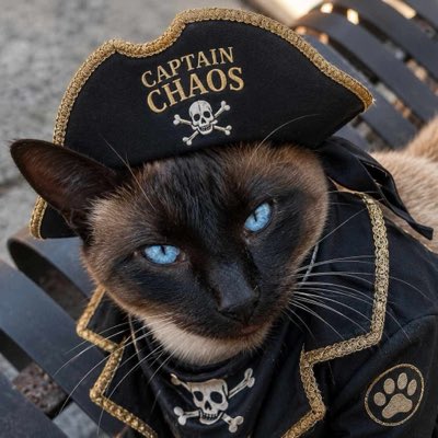 claws2025's tweet photo. #NewProfilePic https://t.co/CIKypzDKWC
