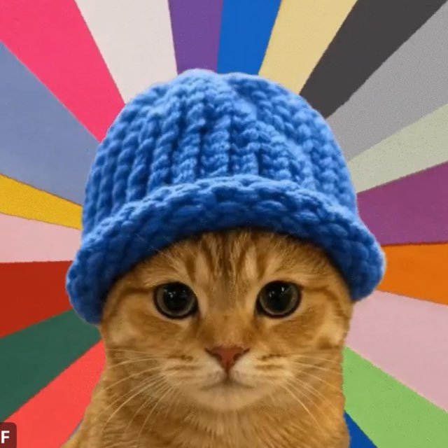 da_watching's tweet photo. $CATWIF Here is the thesis...  It's cat season this time around an the hat is on a cat.. already went to few milli an worthless dev is out it's been officially cto'd... low entry for retail, and it's the most easiest to digest for retail that saw what happen last 2 cycles doge=cate..wif=catwif .. no kols no whales all organic..