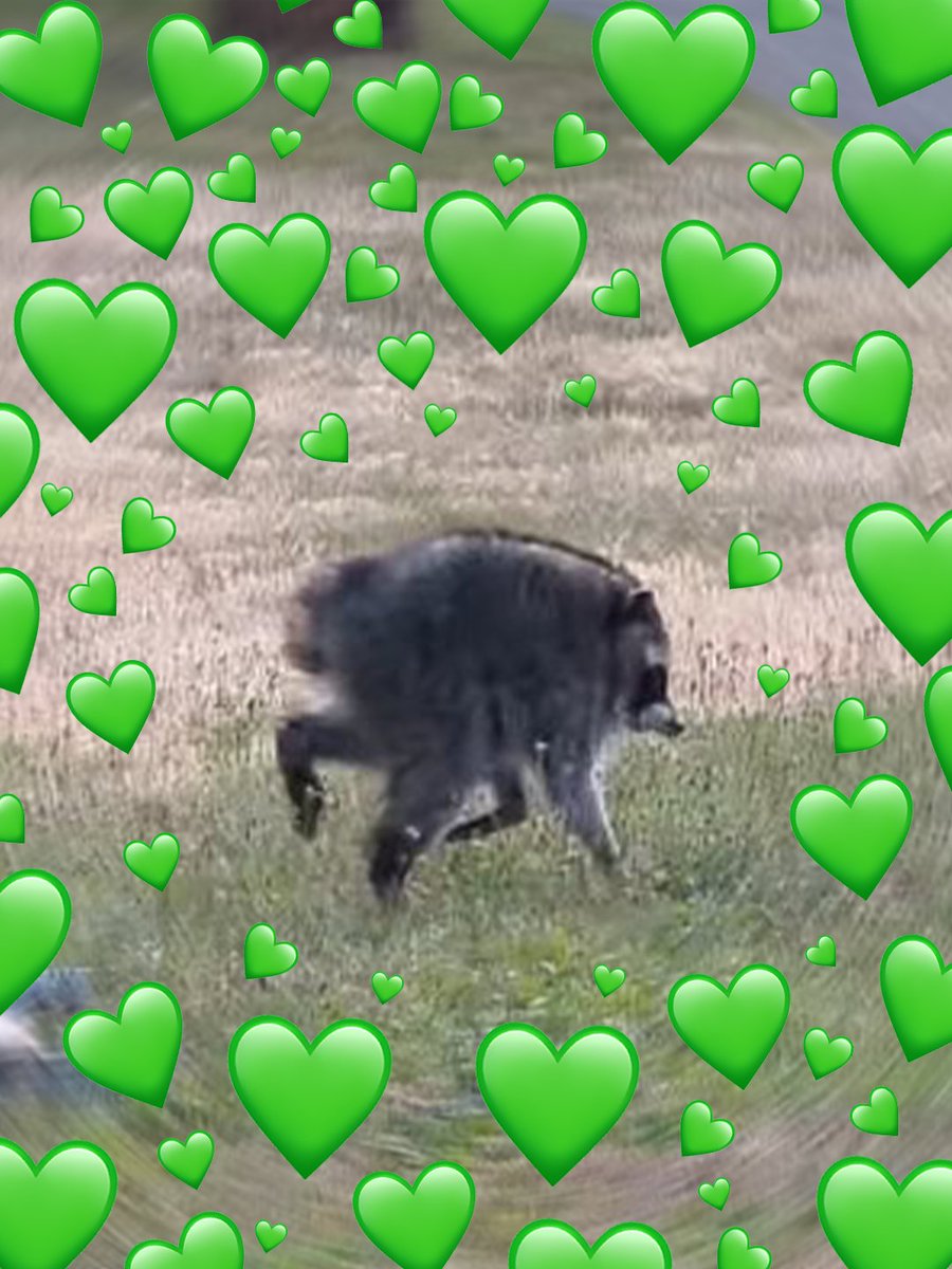 emeraldcitycon's tweet photo. Jimothy Appreciation. That's it. That's the post. 🥺💚 https://t.co/1hNgd9kkBS