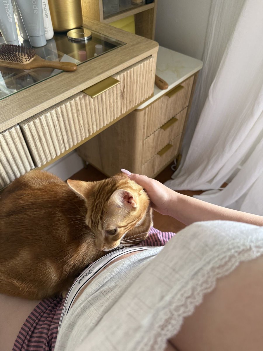 alynsaar's tweet photo. happy cat https://t.co/tZ2qc75j8t