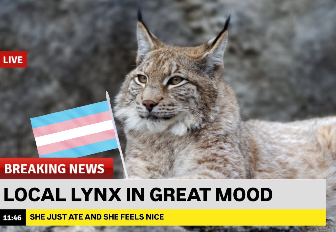 2007warpedtour's tweet photo. LYNX WIN 
10TH WIN IN A ROW
FUCK TRANSPHOBES https://t.co/sFQDzKvEOI