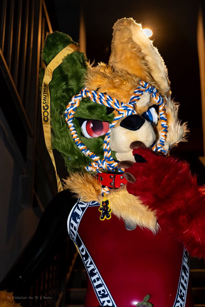 js_latelier's tweet photo. yes, I noticed you looking π
no, you donβt have to stop π€
πΈ @hurxhurx
#SqueakySunday #ShinySunday
#FursuitEveryday #LVFC2026 https://t.co/UFNcy1Sa97